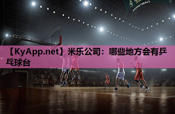 米乐公司:哪些地方会有乒乓球台