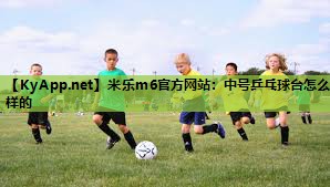 米乐m6官方网站：中号乒乓球台怎么样的