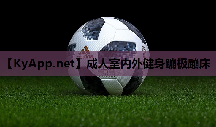 成人室内外健身蹦极蹦床