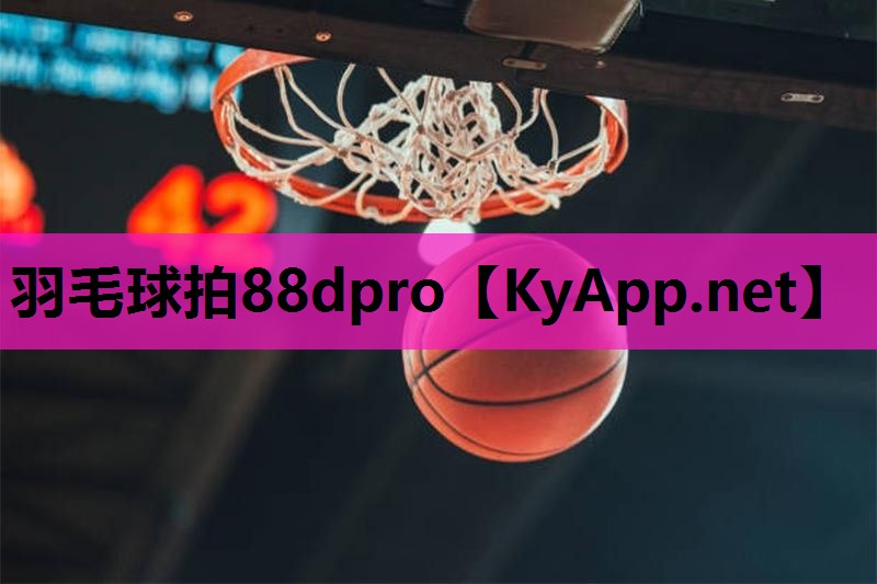 羽毛球拍88dpro