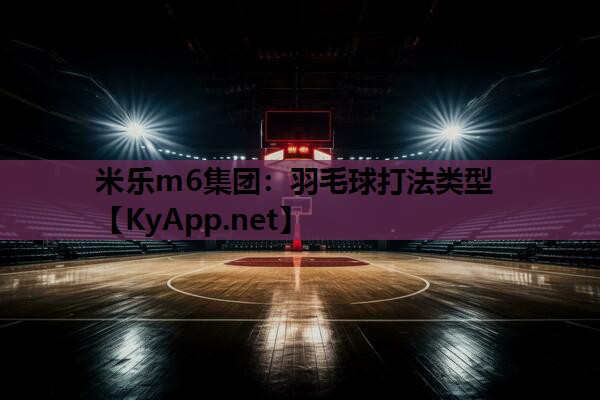 米乐m6集团:羽毛球打法类型