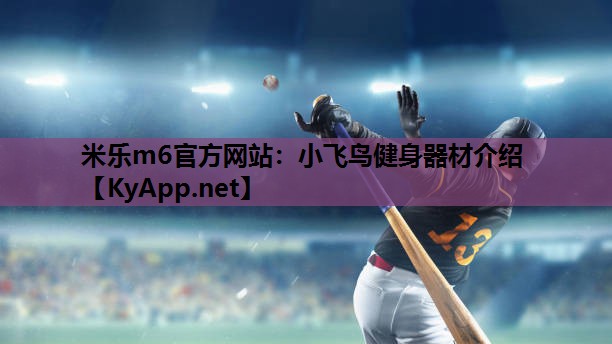 小飞鸟健身器材介绍