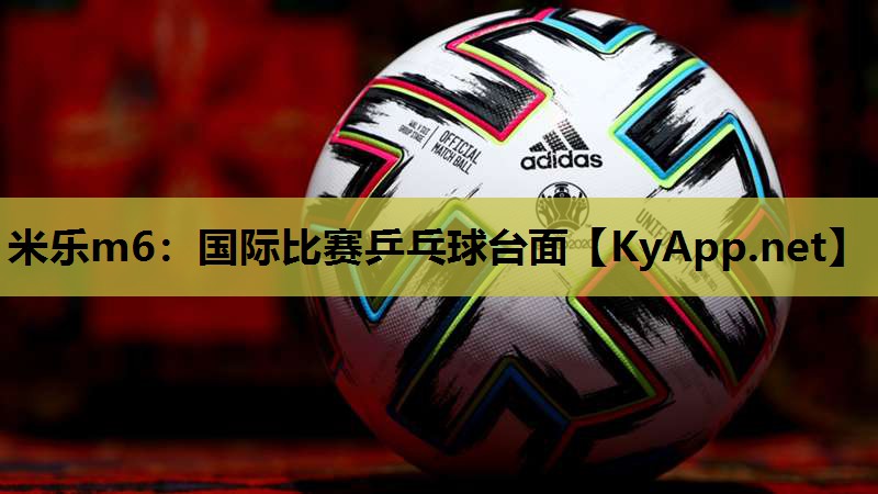 国际比赛乒乓球台面
