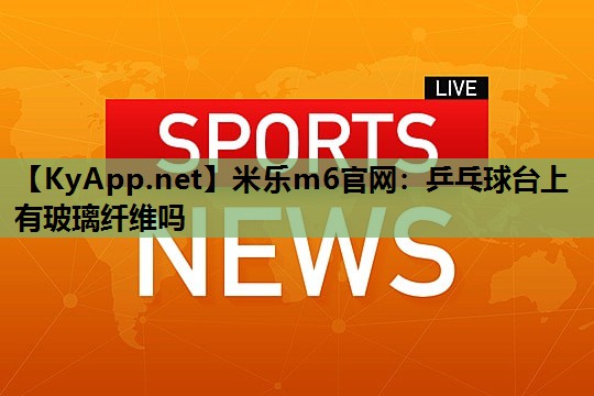 乒乓球台上有玻璃纤维吗
