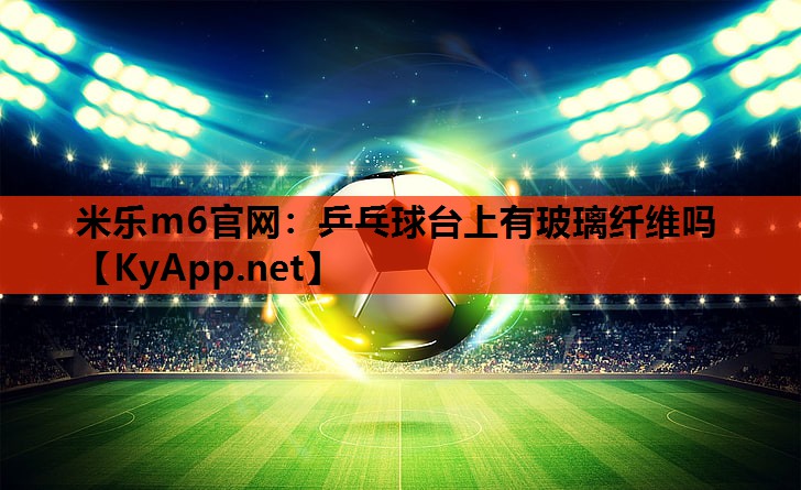 乒乓球台上有玻璃纤维吗