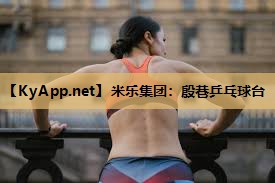 殷巷乒乓球台