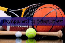 羽毛球网标准尺寸