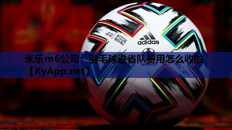 羽毛球进省队费用怎么收的
