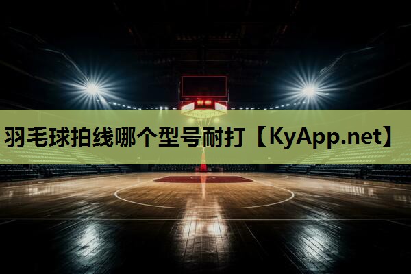 羽毛球拍线哪个型号耐打