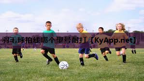 羽毛球拍线哪个型号耐打