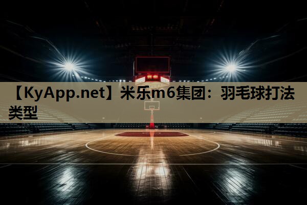 羽毛球打法类型