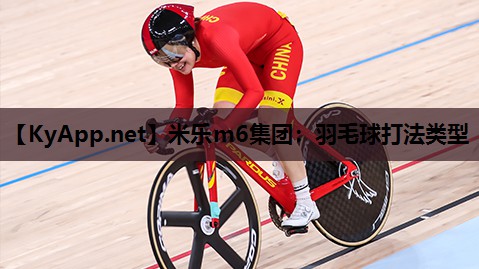 羽毛球打法类型